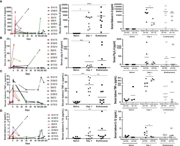 https://cdn.ncbi.nlm.nih.gov/pmc/blobs/aaf3/8692283/11b67816b043/fimmu-12-788949-g004.jpg