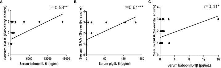 https://cdn.ncbi.nlm.nih.gov/pmc/blobs/aaf3/8692283/37c568e613d1/fimmu-12-788949-g006.jpg