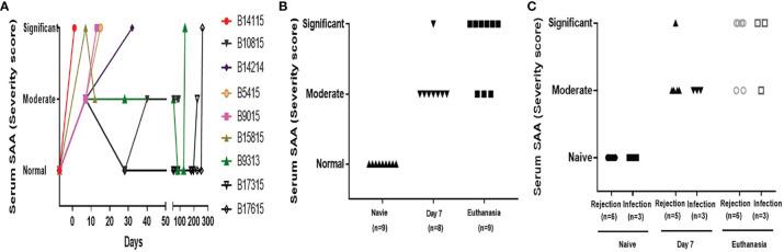 https://cdn.ncbi.nlm.nih.gov/pmc/blobs/aaf3/8692283/8ea2d1802349/fimmu-12-788949-g002.jpg