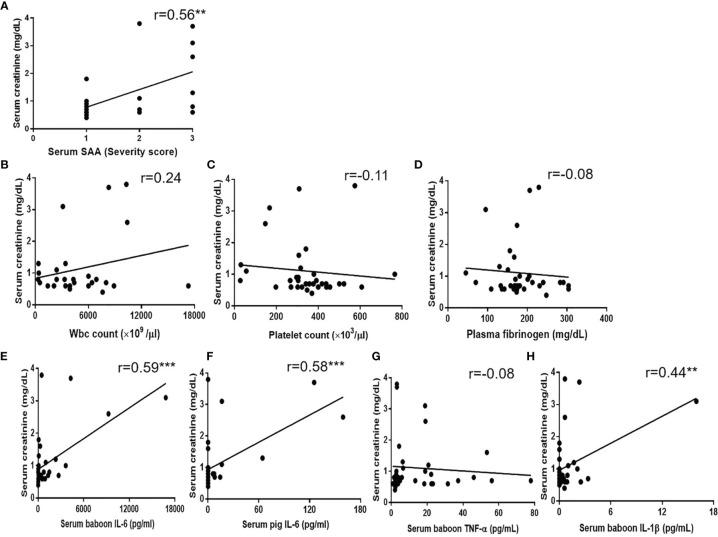 https://cdn.ncbi.nlm.nih.gov/pmc/blobs/aaf3/8692283/d9d9224f0092/fimmu-12-788949-g005.jpg