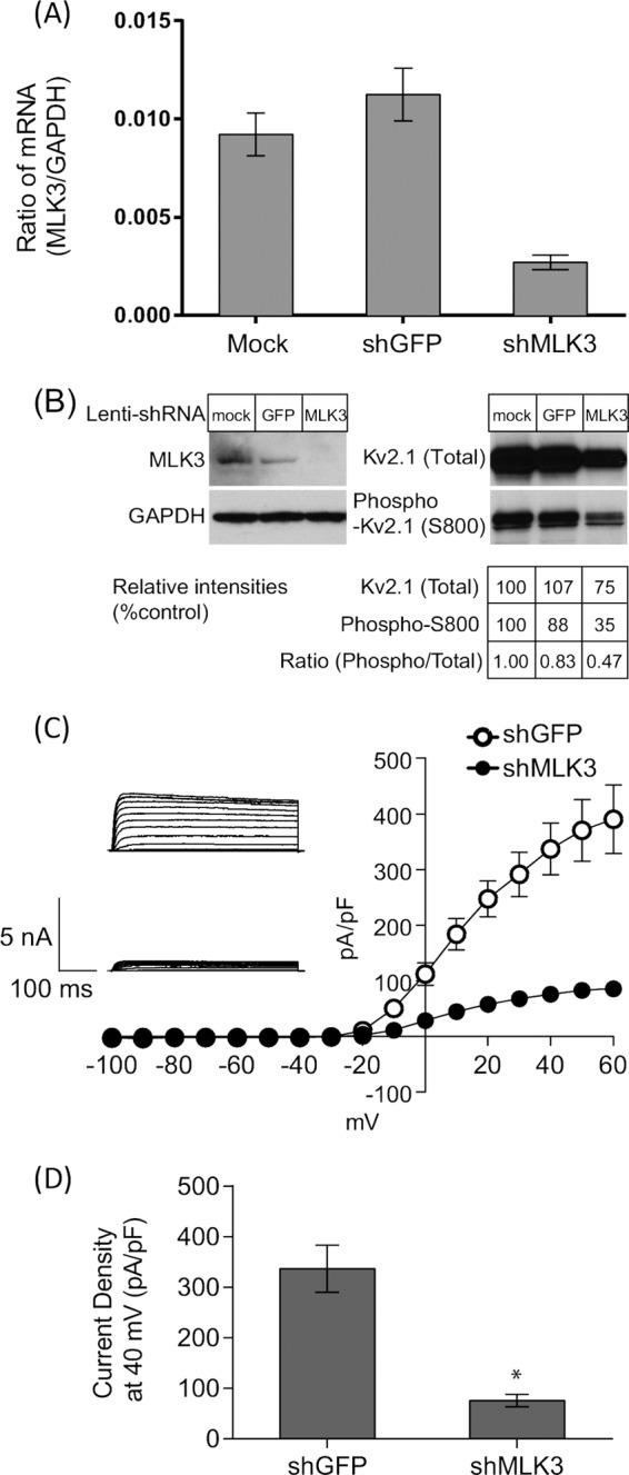 https://cdn.ncbi.nlm.nih.gov/pmc/blobs/aaf4/3750171/75fa61bffb26/zbc0391359790006.jpg