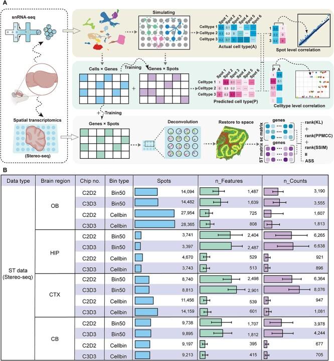 https://cdn.ncbi.nlm.nih.gov/pmc/blobs/aaf7/11128029/9bf906c6d17c/bbae250f1.jpg