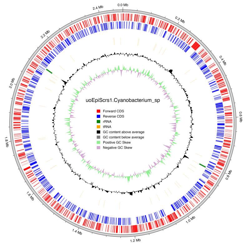 https://cdn.ncbi.nlm.nih.gov/pmc/blobs/aaf8/11167328/e0bfb298abc8/wellcomeopenres-9-23805-g0005.jpg