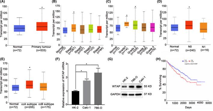 https://cdn.ncbi.nlm.nih.gov/pmc/blobs/aaf8/8525086/a114c89ca978/CAM4-10-7222-g001.jpg