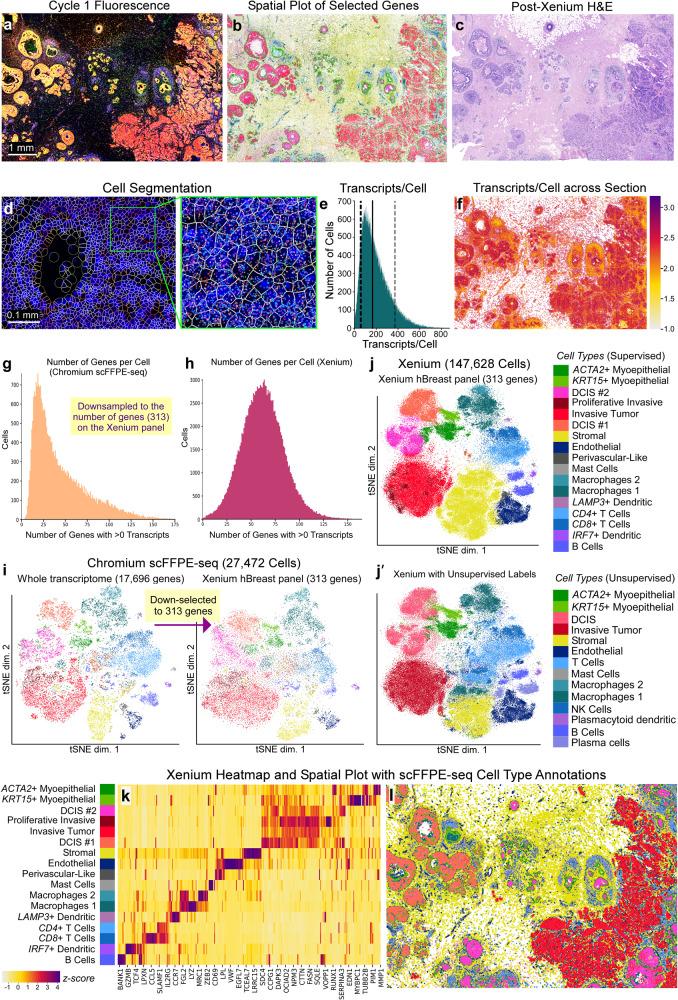 https://cdn.ncbi.nlm.nih.gov/pmc/blobs/aaf9/10730913/4e6395c8f89d/41467_2023_43458_Fig3_HTML.jpg