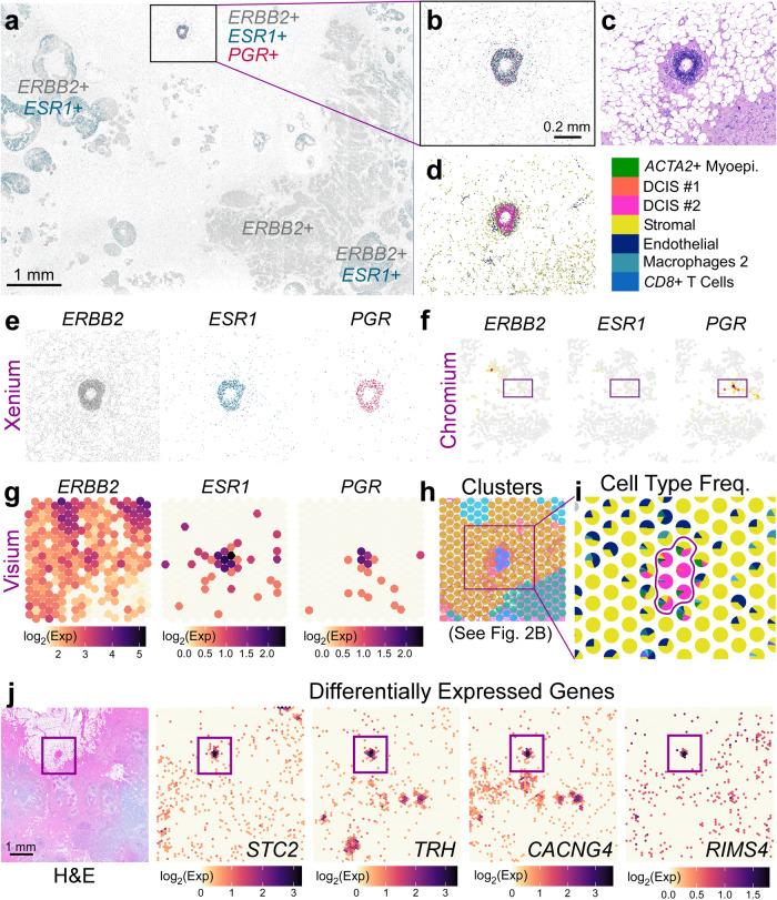 https://cdn.ncbi.nlm.nih.gov/pmc/blobs/aaf9/10730913/7ee15143f18c/41467_2023_43458_Fig5_HTML.jpg