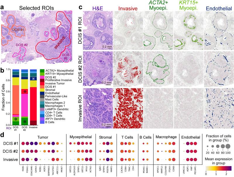 https://cdn.ncbi.nlm.nih.gov/pmc/blobs/aaf9/10730913/d6a6df2fa539/41467_2023_43458_Fig4_HTML.jpg
