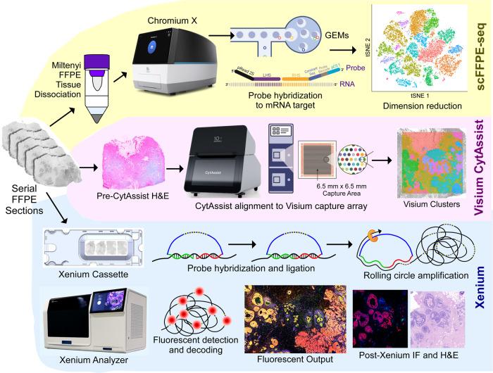 https://cdn.ncbi.nlm.nih.gov/pmc/blobs/aaf9/10730913/ddbf9985ccf8/41467_2023_43458_Fig1_HTML.jpg