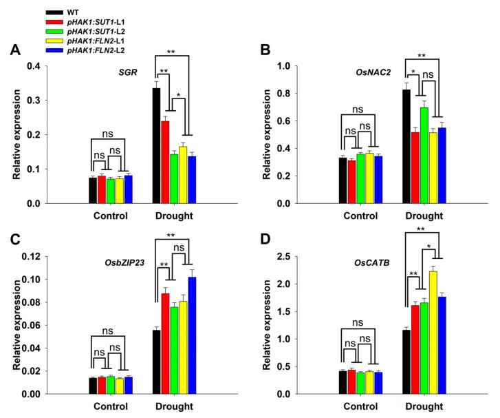 https://cdn.ncbi.nlm.nih.gov/pmc/blobs/aafb/10889344/7b4f566a8a76/ijms-25-02158-g008.jpg