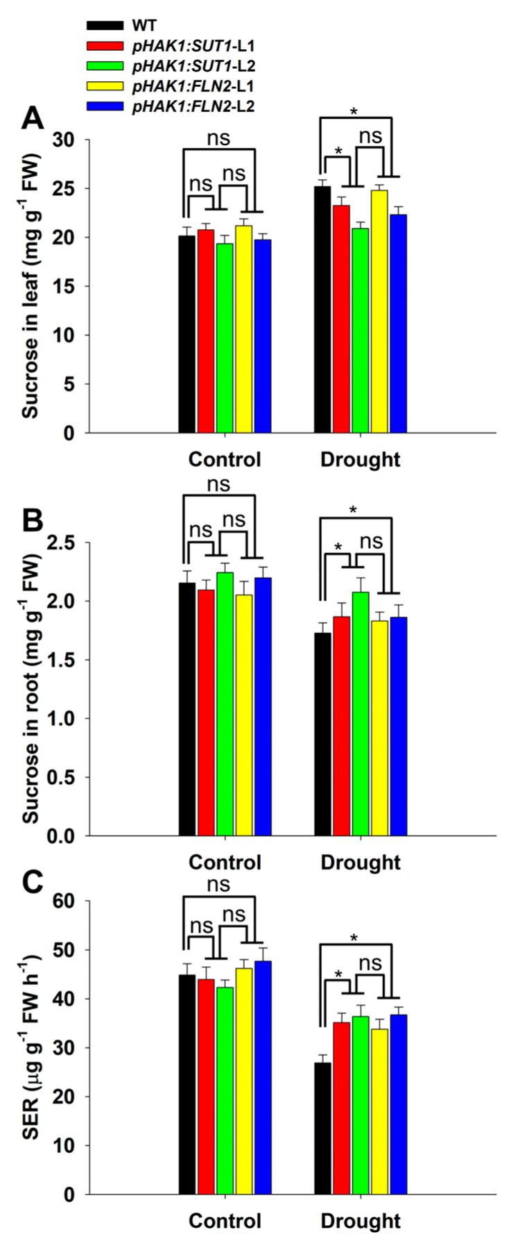 https://cdn.ncbi.nlm.nih.gov/pmc/blobs/aafb/10889344/a17caeed7d7f/ijms-25-02158-g005.jpg