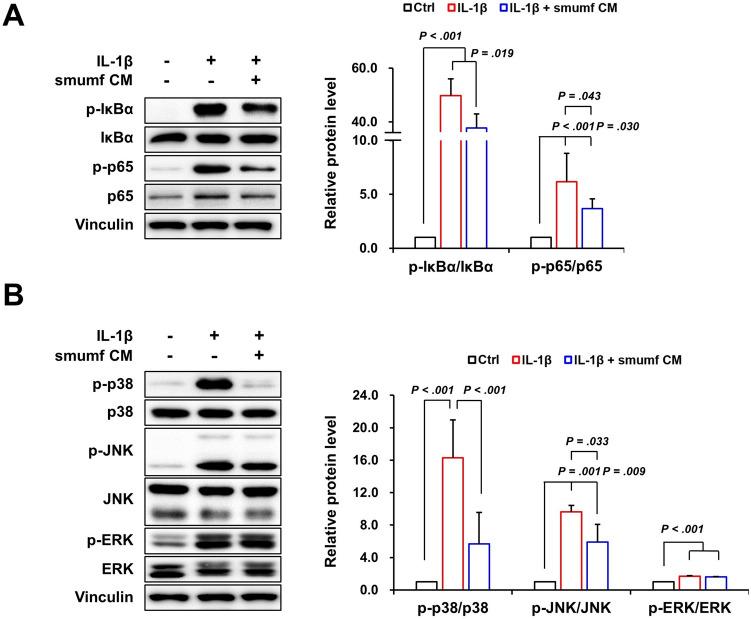 https://cdn.ncbi.nlm.nih.gov/pmc/blobs/aafc/11589062/8e4fead5f3e9/13770_2024_673_Fig5_HTML.jpg