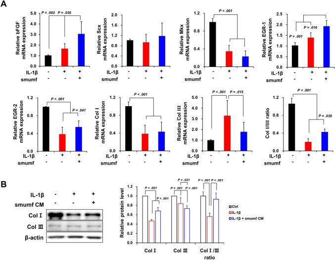 https://cdn.ncbi.nlm.nih.gov/pmc/blobs/aafc/11589062/af8bf57cd999/13770_2024_673_Fig3_HTML.jpg