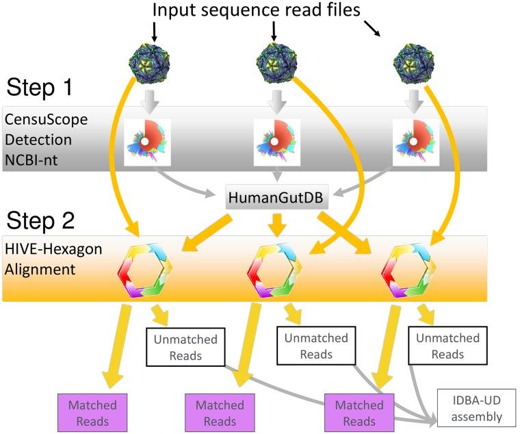 https://cdn.ncbi.nlm.nih.gov/pmc/blobs/aafd/6738582/bb0eb9d4a8c8/pone.0206484.g001.jpg