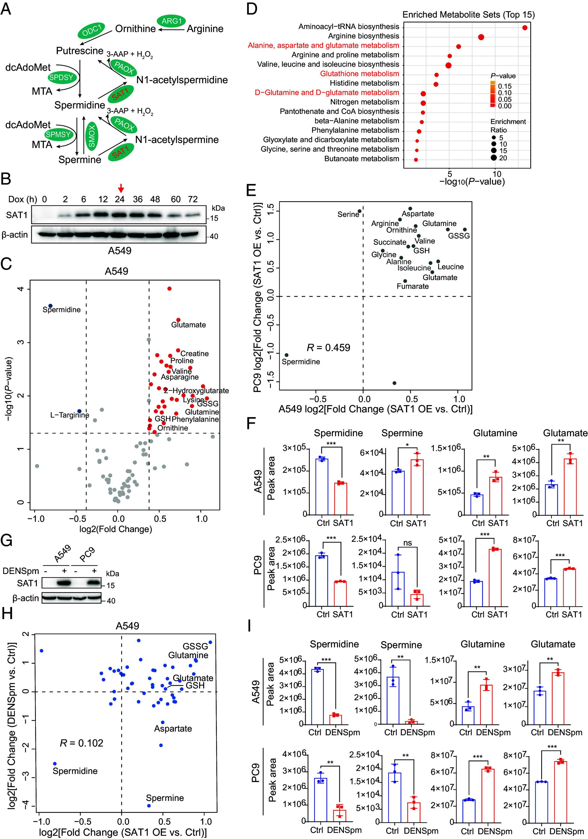 https://cdn.ncbi.nlm.nih.gov/pmc/blobs/ab01/10990097/ca0f86a8ed47/pnas.2319429121fig01.jpg