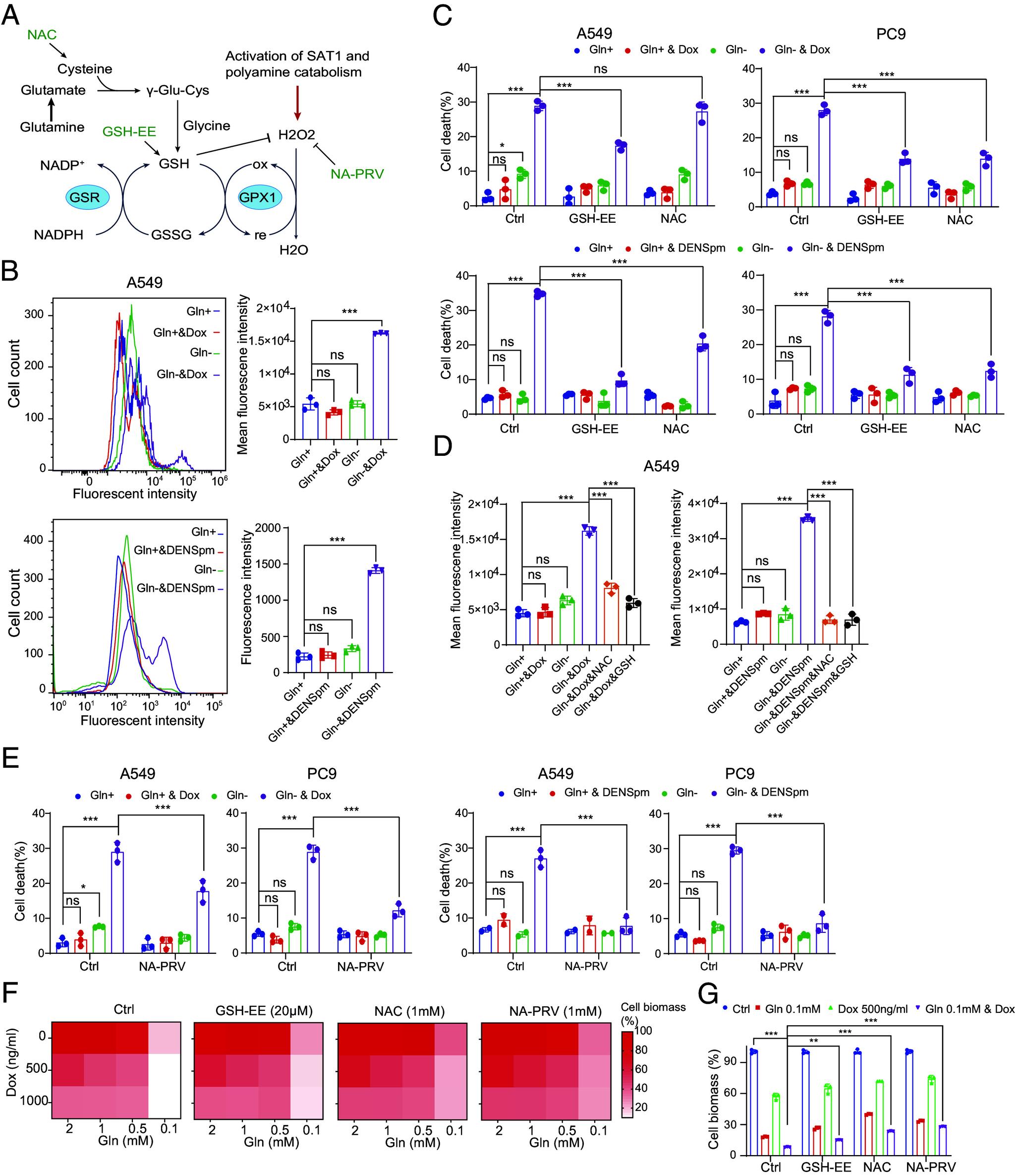 https://cdn.ncbi.nlm.nih.gov/pmc/blobs/ab01/10990097/eb409448dd2f/pnas.2319429121fig04.jpg