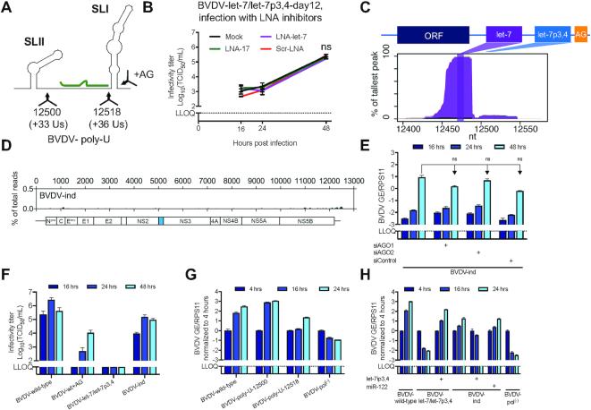 https://cdn.ncbi.nlm.nih.gov/pmc/blobs/ab02/7261151/d146f0ab3585/gkaa300fig6.jpg