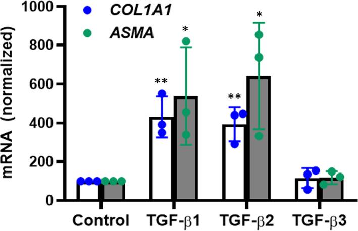 https://cdn.ncbi.nlm.nih.gov/pmc/blobs/ab02/8034461/1f3be8227a58/JCMM-25-3498-g004.jpg
