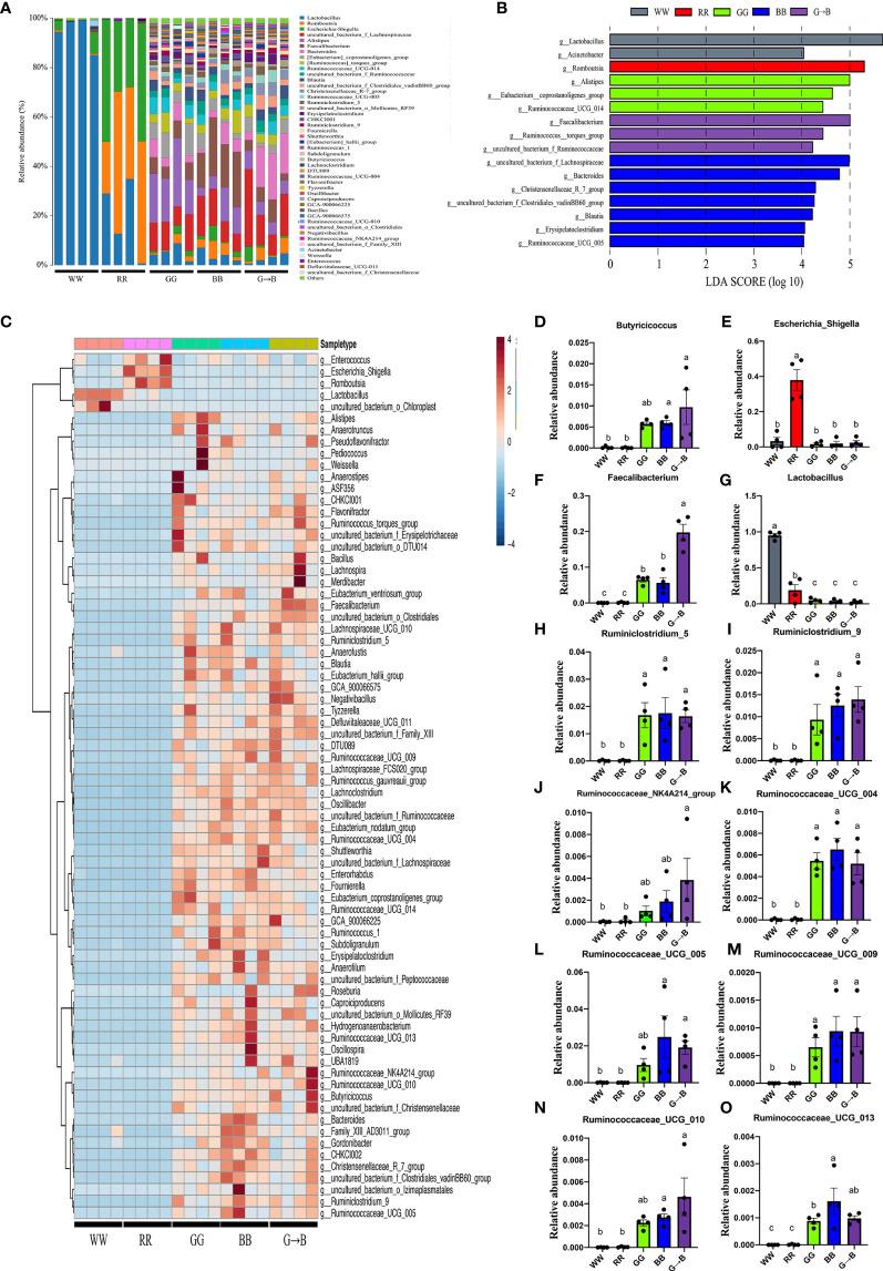 https://cdn.ncbi.nlm.nih.gov/pmc/blobs/ab02/9314779/12309d15b886/fimmu-13-849780-g004.jpg