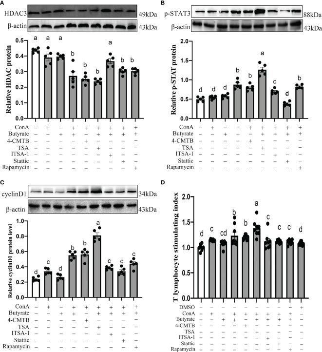 https://cdn.ncbi.nlm.nih.gov/pmc/blobs/ab02/9314779/892d11331518/fimmu-13-849780-g011.jpg