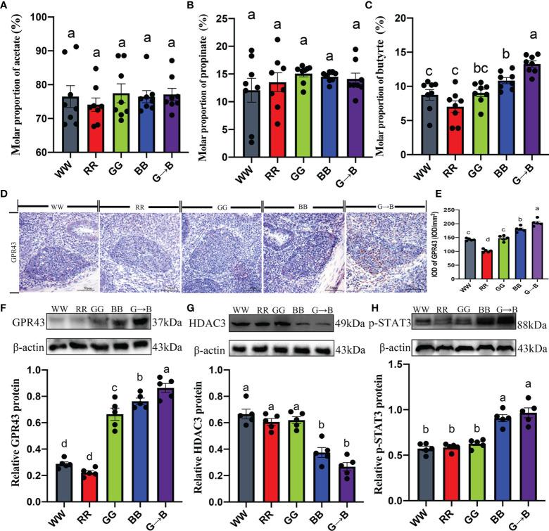 https://cdn.ncbi.nlm.nih.gov/pmc/blobs/ab02/9314779/ff8af7ea8ccc/fimmu-13-849780-g010.jpg