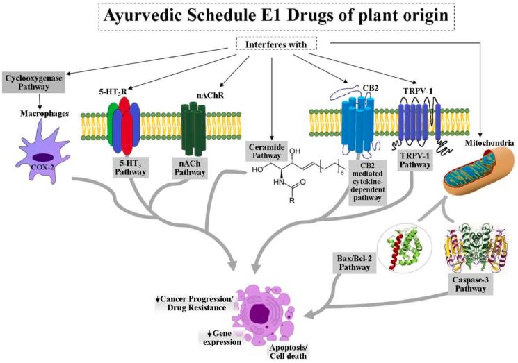 https://cdn.ncbi.nlm.nih.gov/pmc/blobs/ab03/9163510/8340c646f160/gr1.jpg