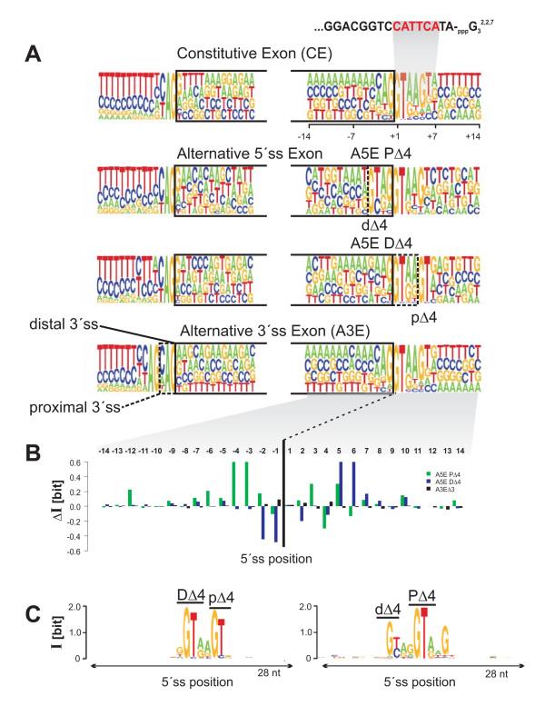 https://cdn.ncbi.nlm.nih.gov/pmc/blobs/ab04/2423196/2a46007736a6/1471-2164-9-202-6.jpg