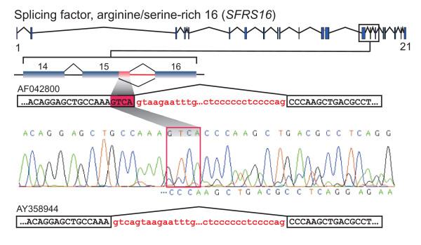 https://cdn.ncbi.nlm.nih.gov/pmc/blobs/ab04/2423196/a0f87e29723d/1471-2164-9-202-3.jpg