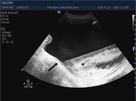 https://cdn.ncbi.nlm.nih.gov/pmc/blobs/ab07/7688249/89808780c796/rjaa092f1.jpg