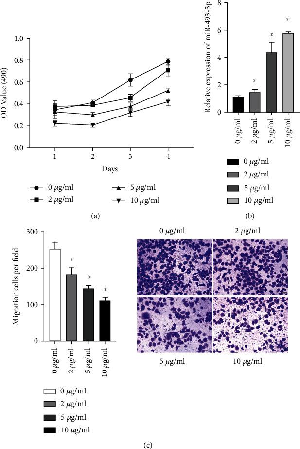 https://cdn.ncbi.nlm.nih.gov/pmc/blobs/ab07/9904924/45bf2fb29ee9/DM2023-7698706.001.jpg