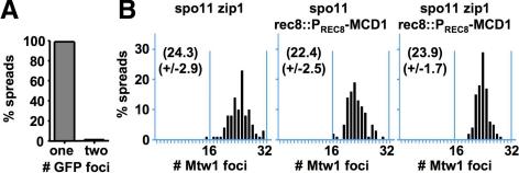 https://cdn.ncbi.nlm.nih.gov/pmc/blobs/ab08/2877639/8119431d6bb5/zmk0111094560003.jpg