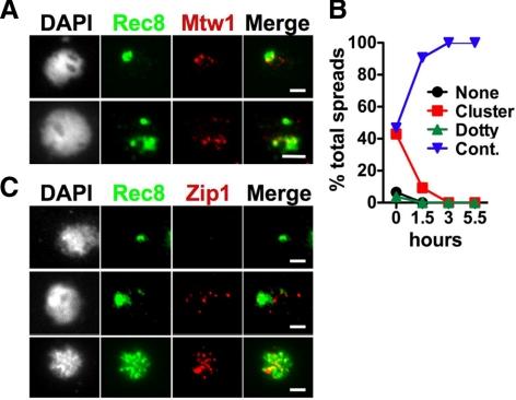 https://cdn.ncbi.nlm.nih.gov/pmc/blobs/ab08/2877639/b154d732ff66/zmk0111094560004.jpg
