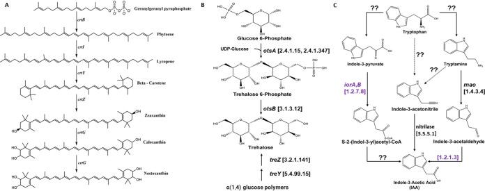 https://cdn.ncbi.nlm.nih.gov/pmc/blobs/ab0e/8754149/6bee2e4ae567/spectrum.01994-21-f004.jpg