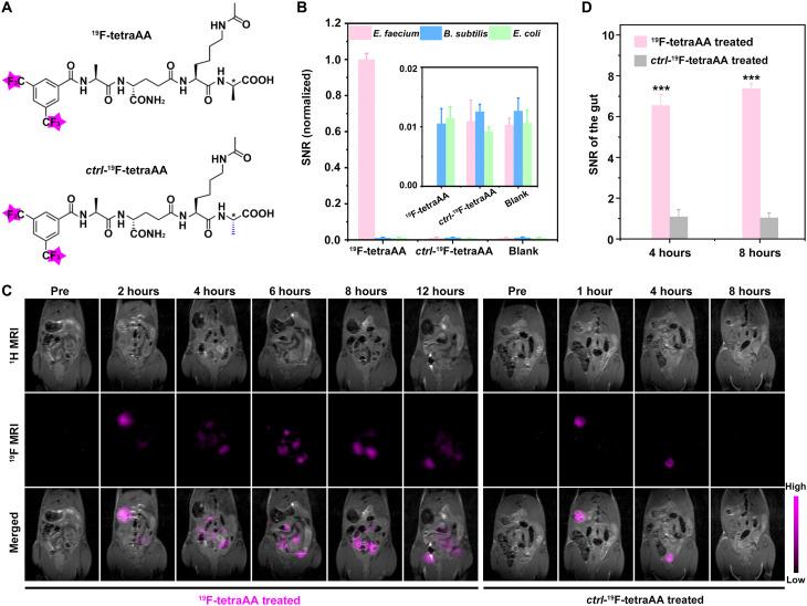 https://cdn.ncbi.nlm.nih.gov/pmc/blobs/ab0e/9882976/4354418f5e38/sciadv.abg6808-f4.jpg