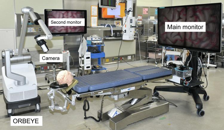 https://cdn.ncbi.nlm.nih.gov/pmc/blobs/ab0f/11694846/bb4ff805ae8a/cureus-0016-00000074950-i01.jpg