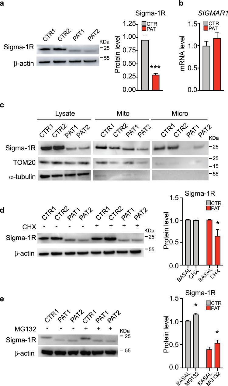 https://cdn.ncbi.nlm.nih.gov/pmc/blobs/ab0f/11981993/5c74d9daa6ae/18_2025_5676_Fig2_HTML.jpg