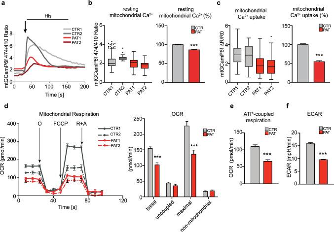 https://cdn.ncbi.nlm.nih.gov/pmc/blobs/ab0f/11981993/dd8c4a380c11/18_2025_5676_Fig5_HTML.jpg