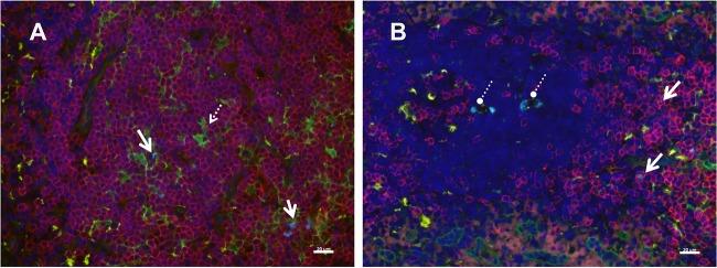 https://cdn.ncbi.nlm.nih.gov/pmc/blobs/ab10/4810538/b37b1484afbc/zjv9990915510005.jpg