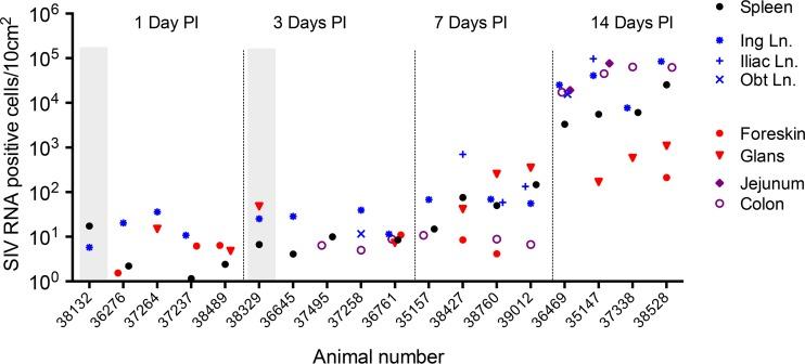 https://cdn.ncbi.nlm.nih.gov/pmc/blobs/ab10/4810538/d336dc2ebc63/zjv9990915510007.jpg