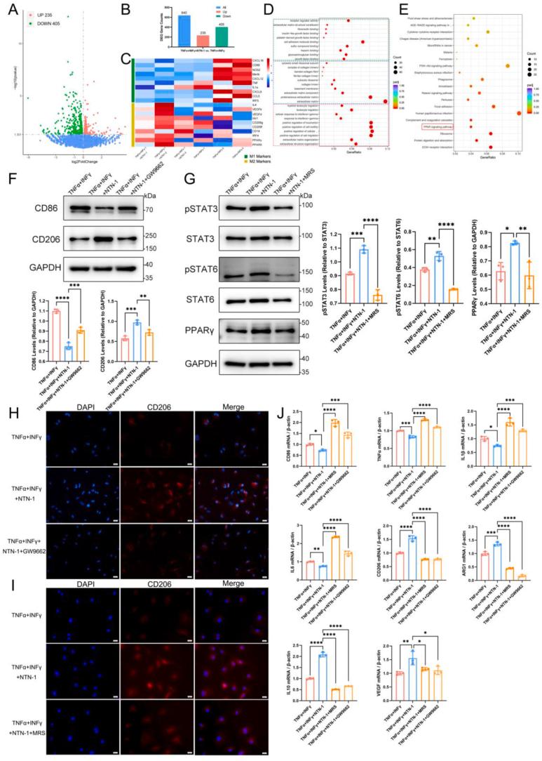 https://cdn.ncbi.nlm.nih.gov/pmc/blobs/ab11/11143790/a1204e152101/gr4.jpg