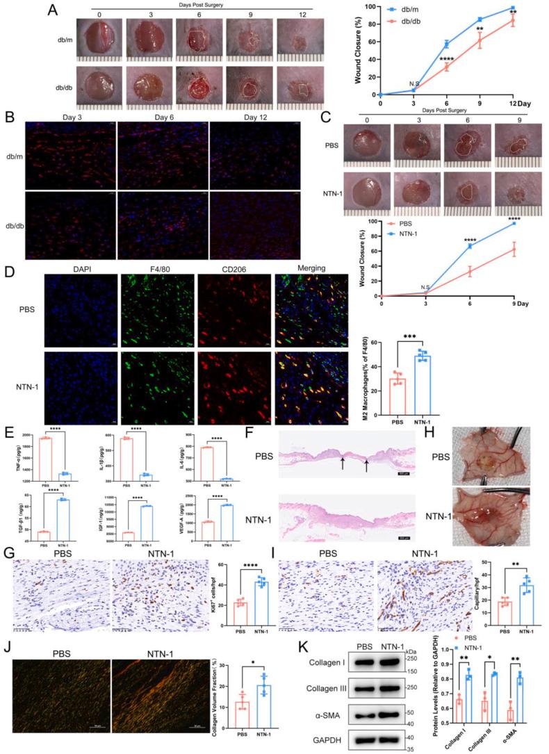 https://cdn.ncbi.nlm.nih.gov/pmc/blobs/ab11/11143790/d19b41f82999/gr2.jpg
