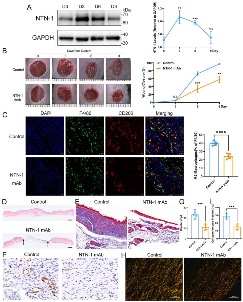 https://cdn.ncbi.nlm.nih.gov/pmc/blobs/ab11/11143790/f4272b30a364/gr1.jpg