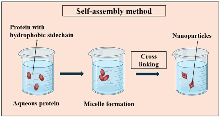https://cdn.ncbi.nlm.nih.gov/pmc/blobs/ab14/11279530/160e9f589c0a/pharmaceutics-16-00887-g004.jpg