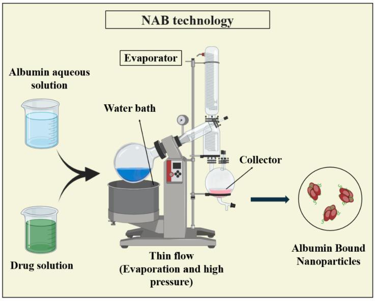 https://cdn.ncbi.nlm.nih.gov/pmc/blobs/ab14/11279530/b7a371c39506/pharmaceutics-16-00887-g010.jpg