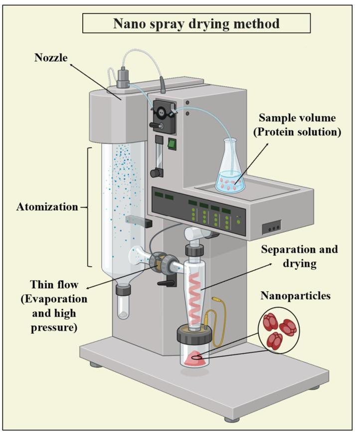 https://cdn.ncbi.nlm.nih.gov/pmc/blobs/ab14/11279530/c38d7ef5ad8b/pharmaceutics-16-00887-g009.jpg