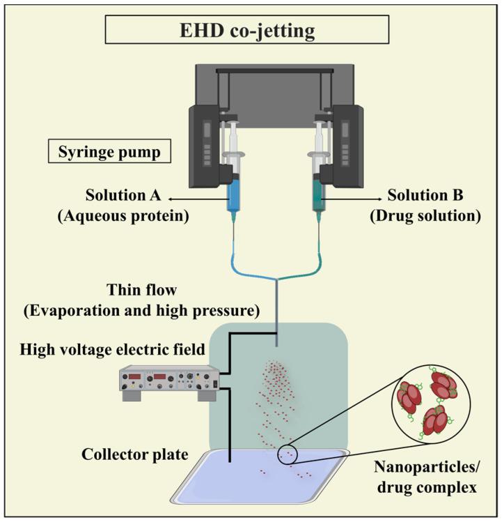 https://cdn.ncbi.nlm.nih.gov/pmc/blobs/ab14/11279530/dd238b0ba677/pharmaceutics-16-00887-g012.jpg