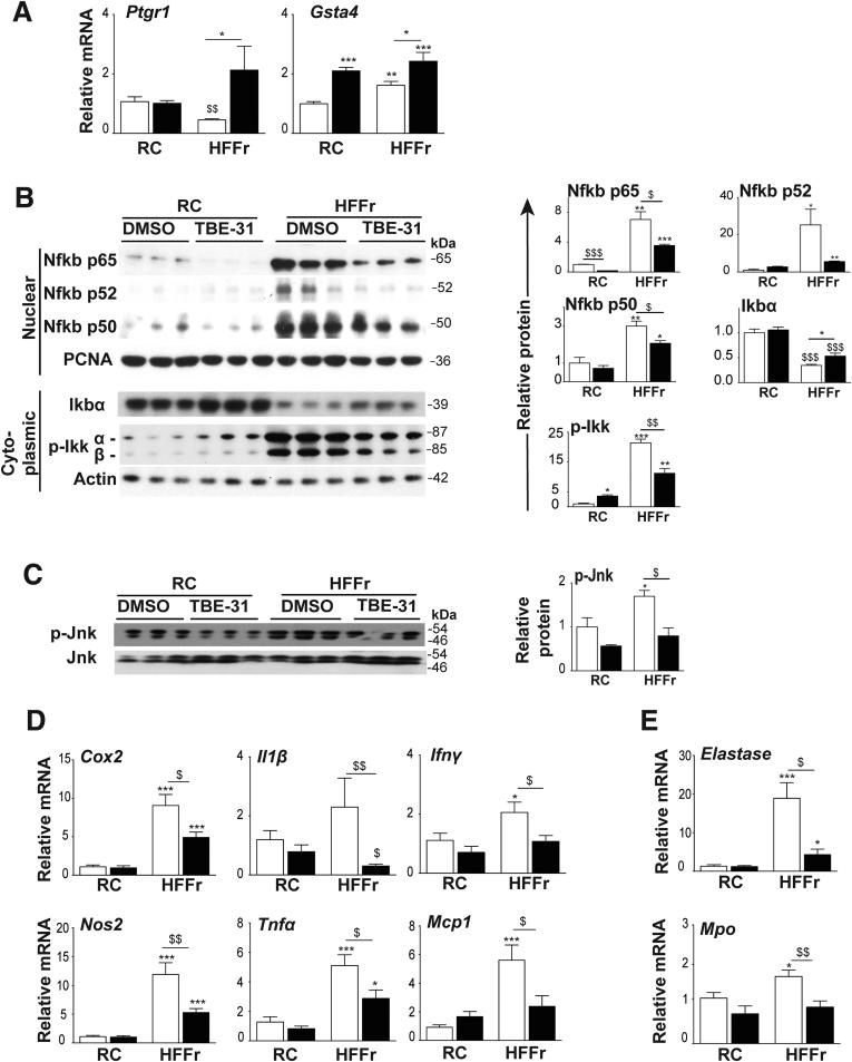 https://cdn.ncbi.nlm.nih.gov/pmc/blobs/ab14/5852394/0eaa37596014/gr11.jpg
