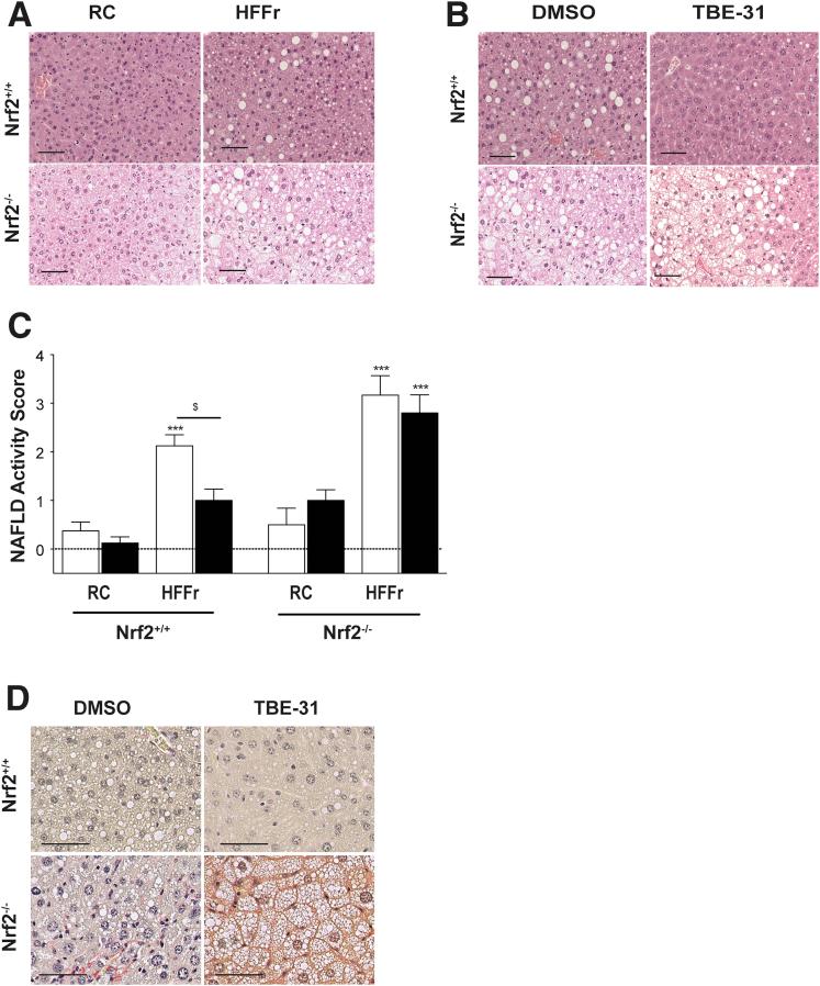 https://cdn.ncbi.nlm.nih.gov/pmc/blobs/ab14/5852394/2d11645d6dfa/gr15.jpg