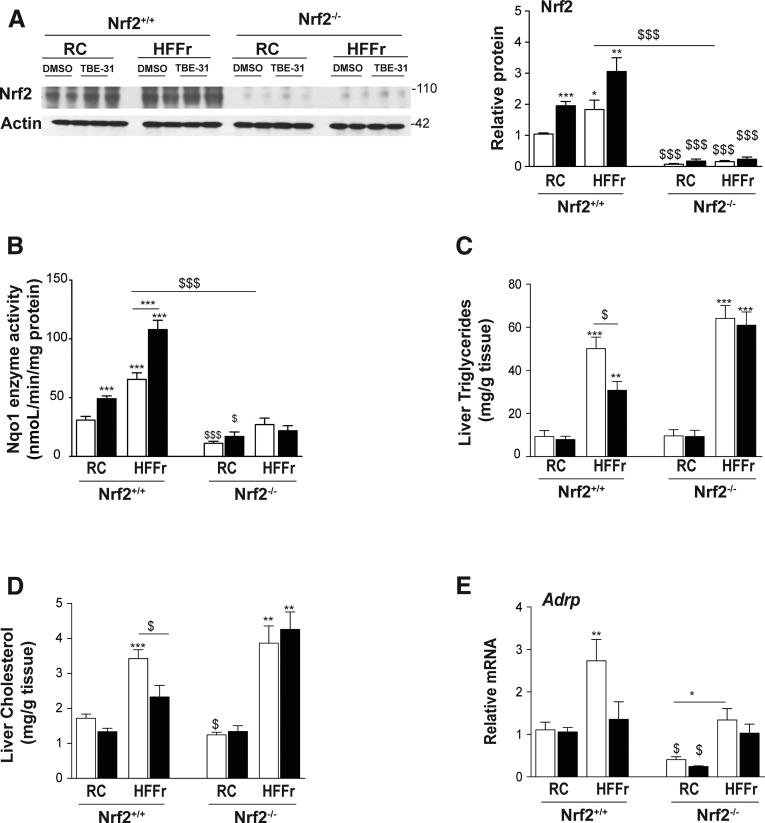 https://cdn.ncbi.nlm.nih.gov/pmc/blobs/ab14/5852394/4a83ecad205b/gr16.jpg