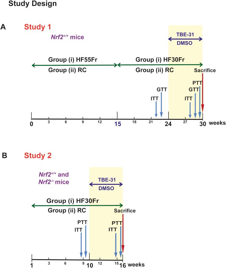 https://cdn.ncbi.nlm.nih.gov/pmc/blobs/ab14/5852394/67c792a681fe/gr2.jpg