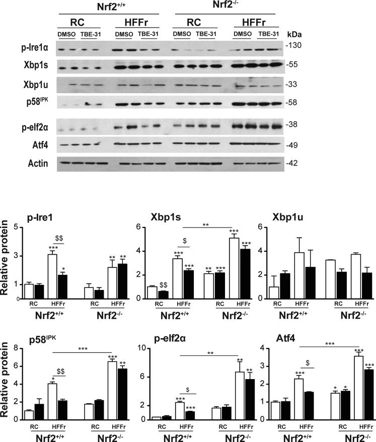 https://cdn.ncbi.nlm.nih.gov/pmc/blobs/ab14/5852394/b7c7697d5351/gr18.jpg